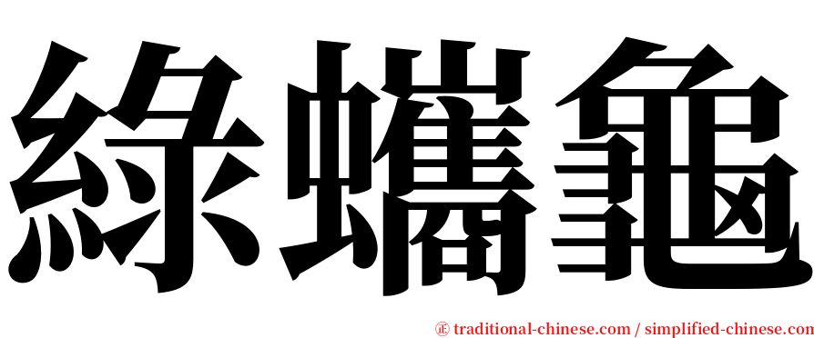 綠蠵龜 serif font