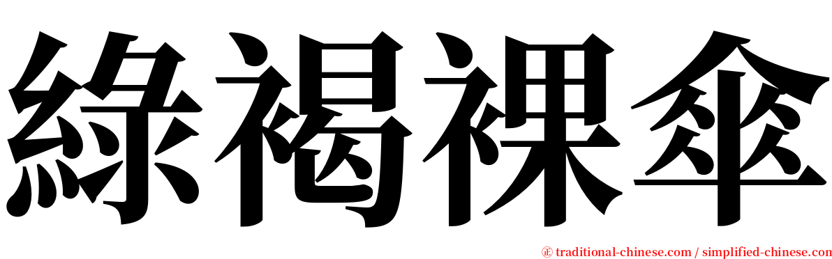 綠褐裸傘 serif font