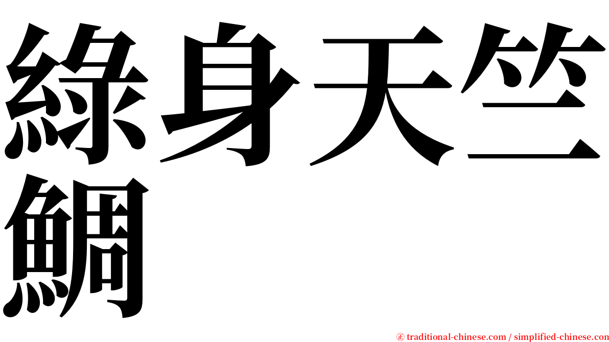 綠身天竺鯛 serif font