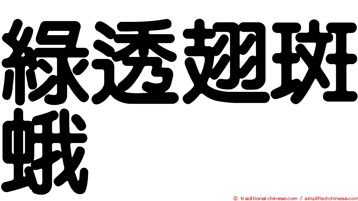 綠透翅斑蛾