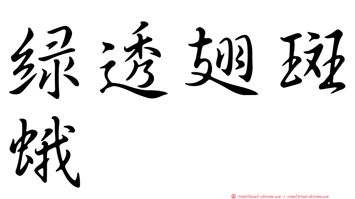 綠透翅斑蛾