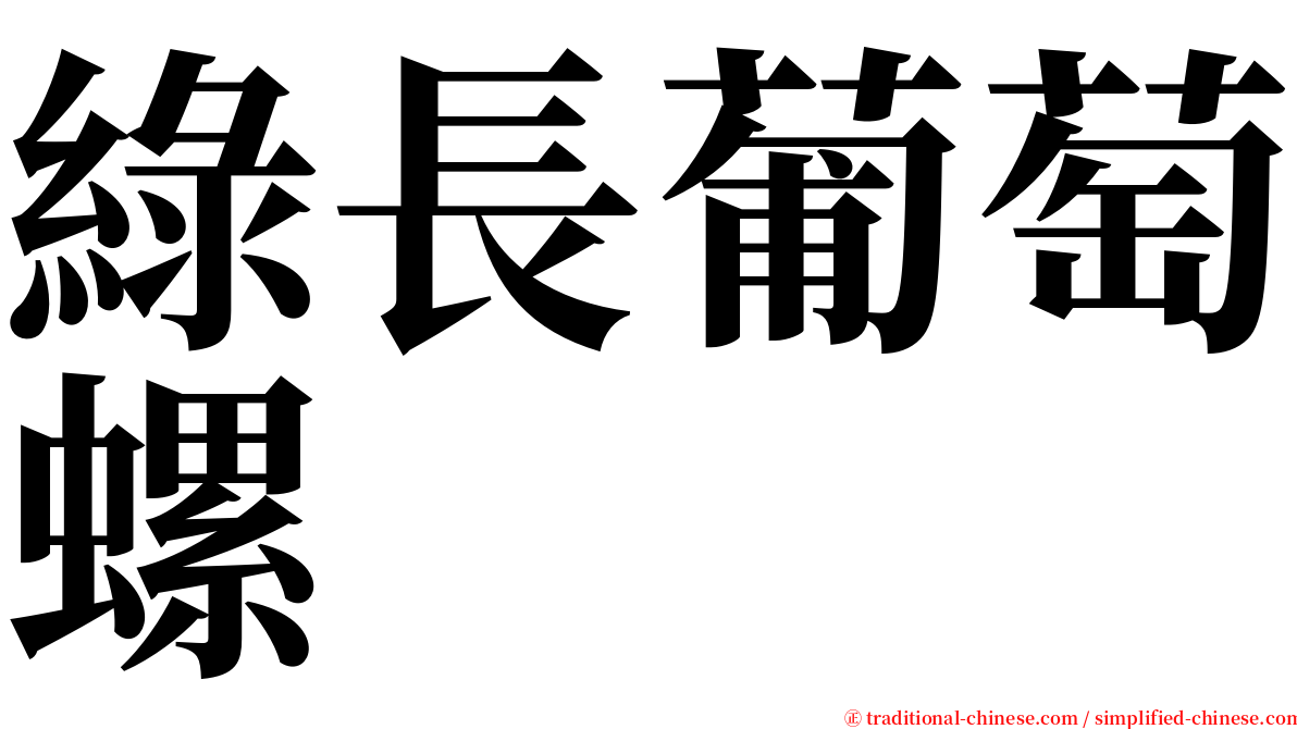 綠長葡萄螺 serif font