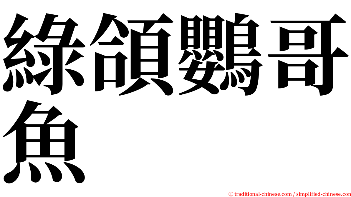 綠頜鸚哥魚 serif font