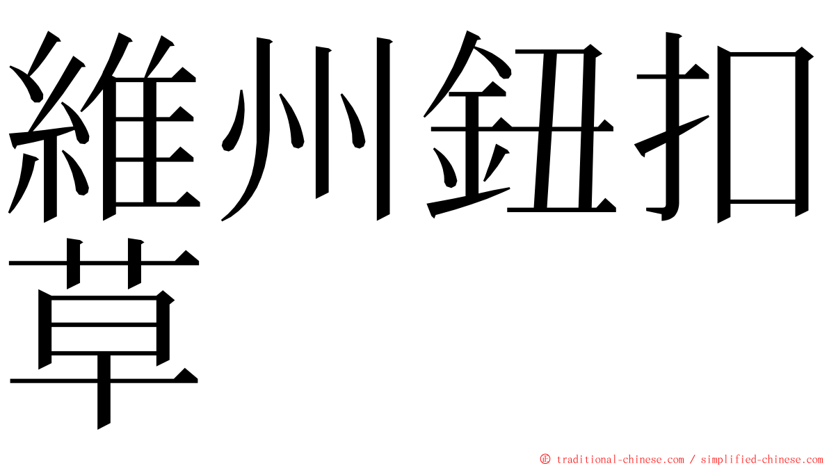 維州鈕扣草 ming font