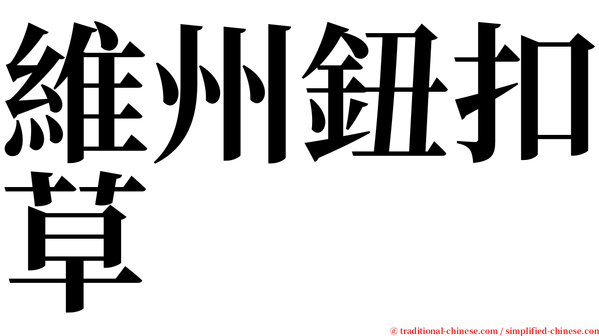 維州鈕扣草 serif font