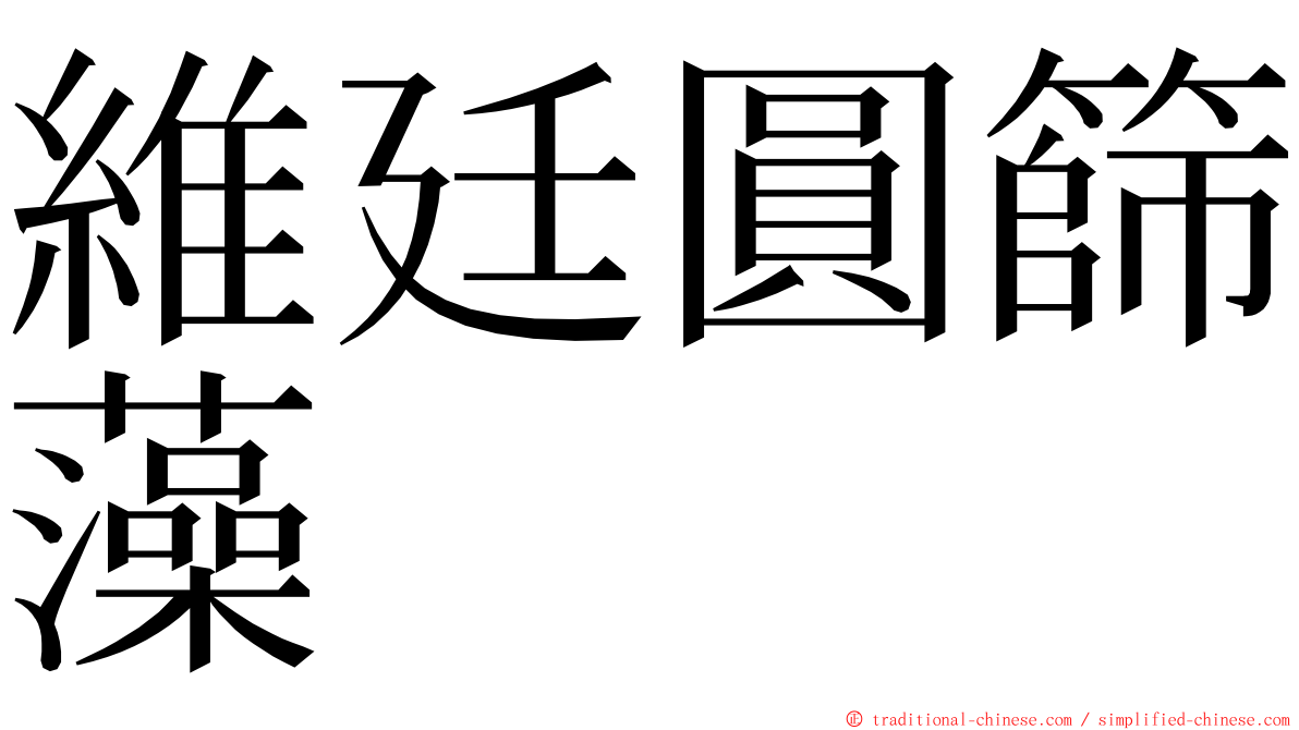 維廷圓篩藻 ming font