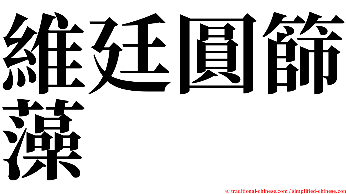 維廷圓篩藻 serif font