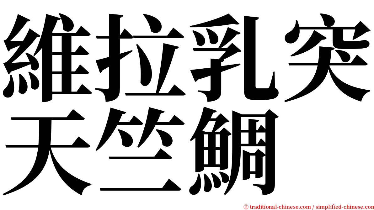 維拉乳突天竺鯛 serif font