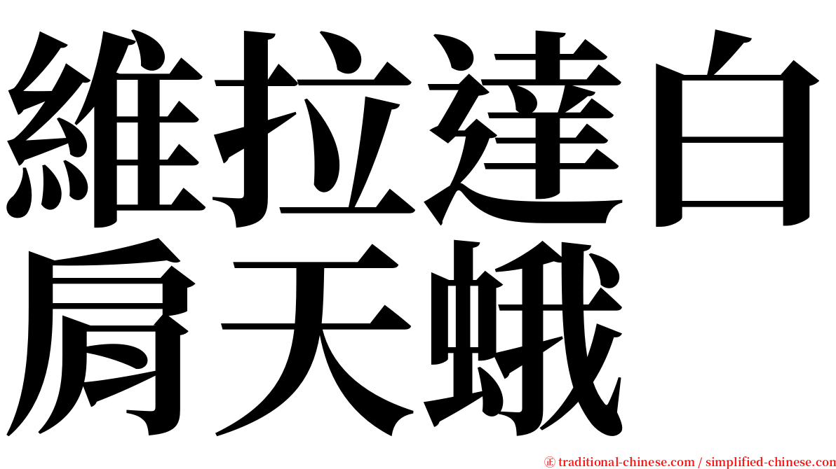 維拉達白肩天蛾 serif font