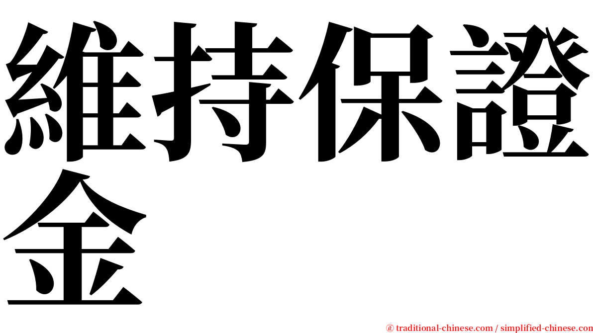 維持保證金 serif font