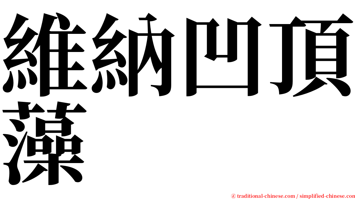 維納凹頂藻 serif font