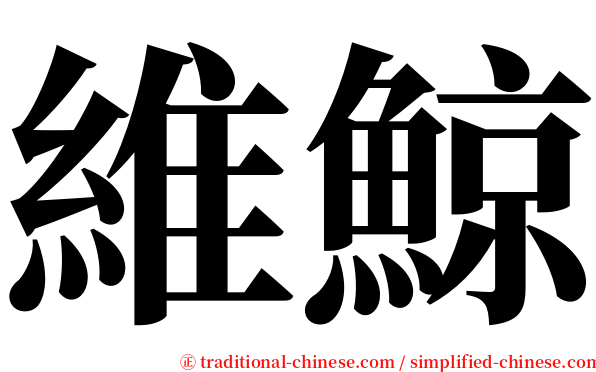 維鯨 serif font