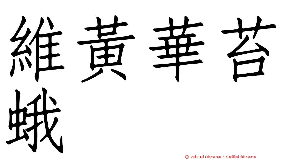 維黃華苔蛾