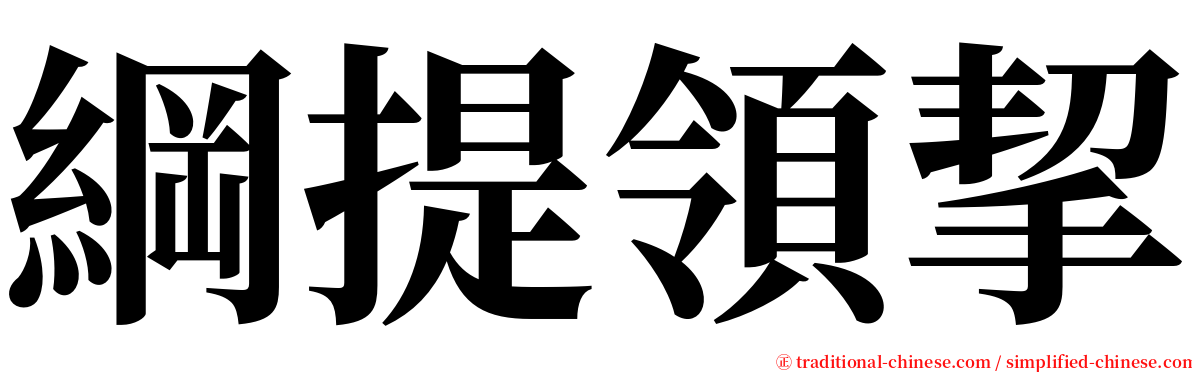 綱提領挈 serif font