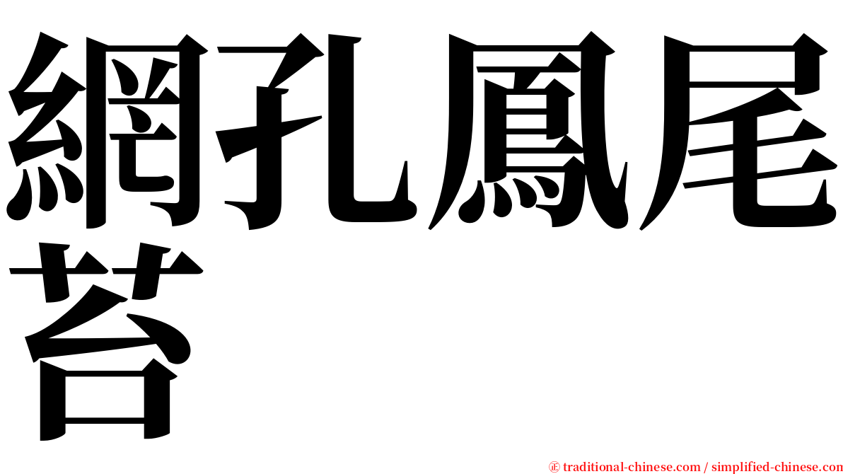 網孔鳳尾苔 serif font