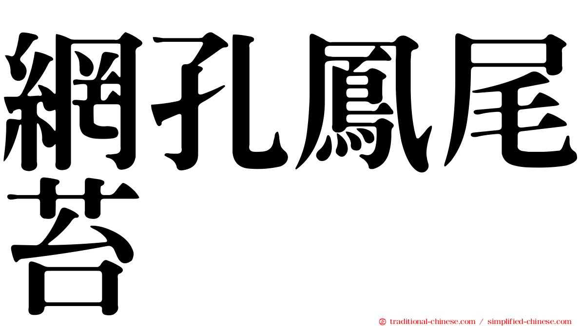 網孔鳳尾苔
