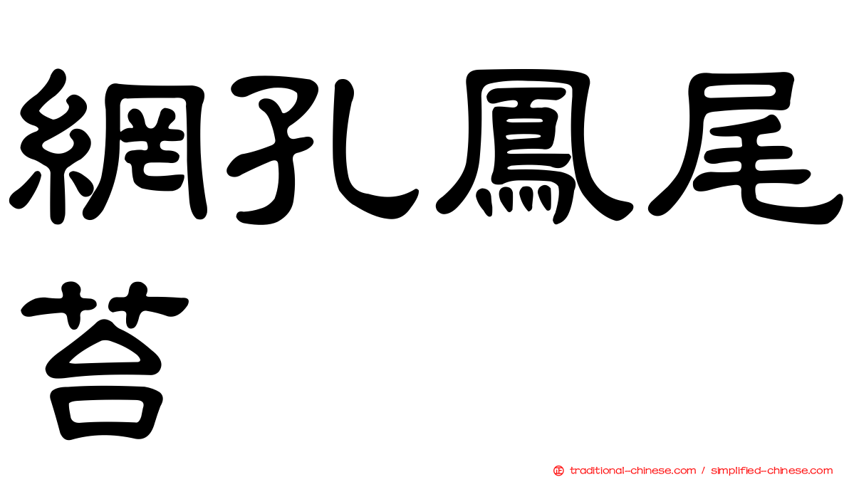 網孔鳳尾苔