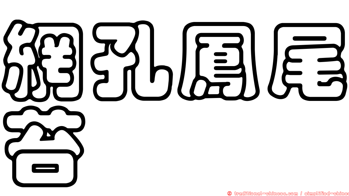 網孔鳳尾苔