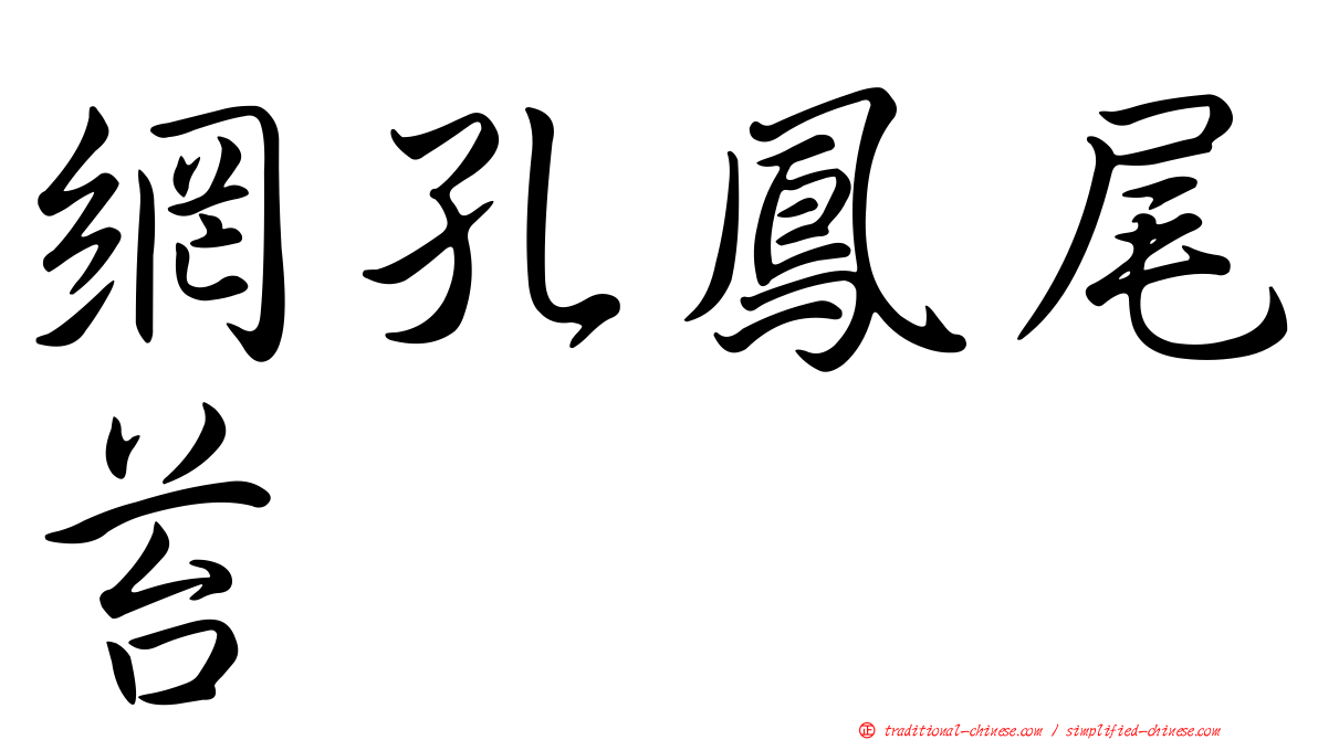 網孔鳳尾苔