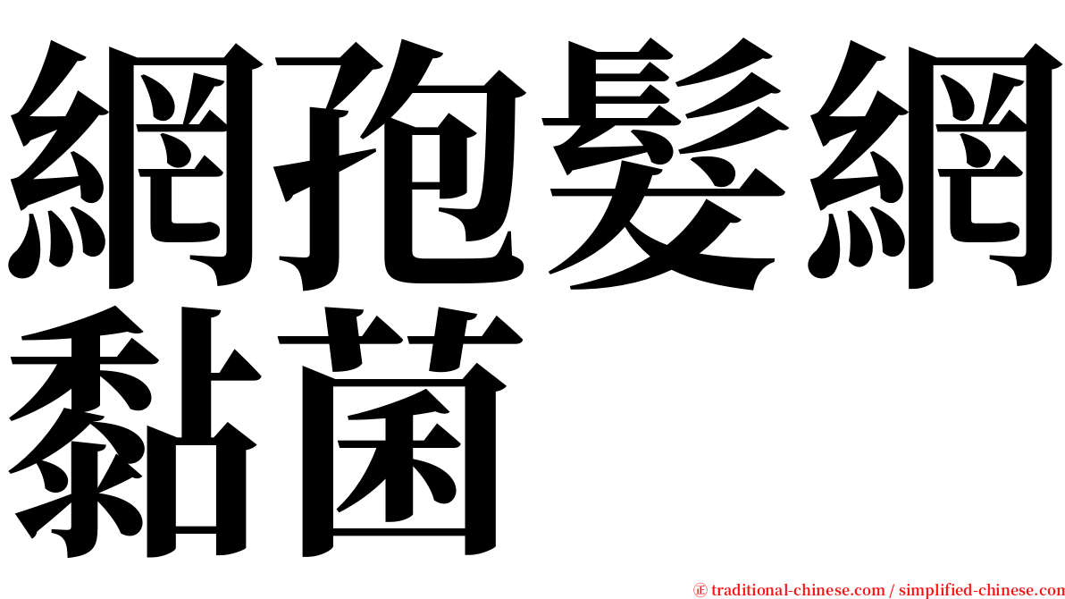 網孢髮網黏菌 serif font