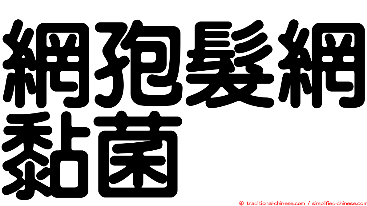 網孢髮網黏菌