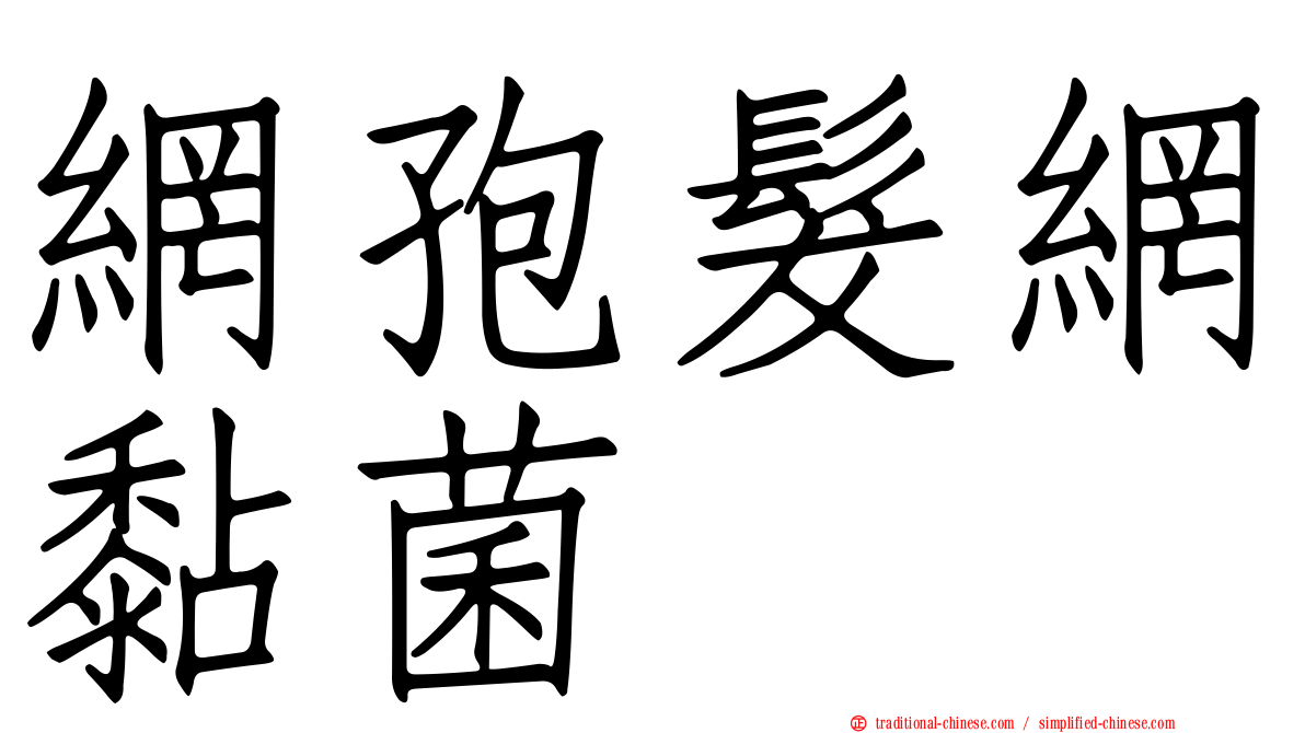 網孢髮網黏菌