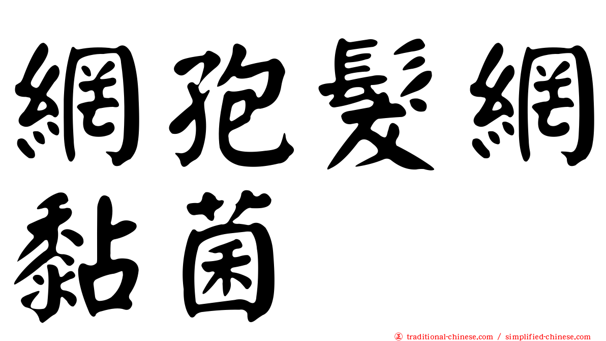 網孢髮網黏菌