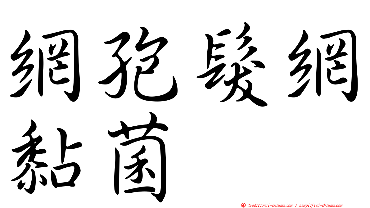 網孢髮網黏菌