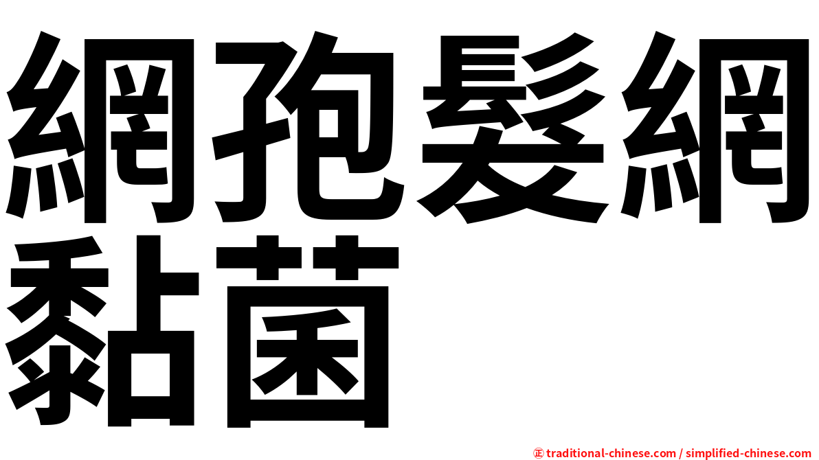 網孢髮網黏菌