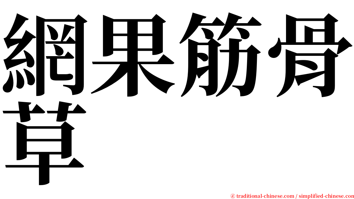 網果筋骨草 serif font