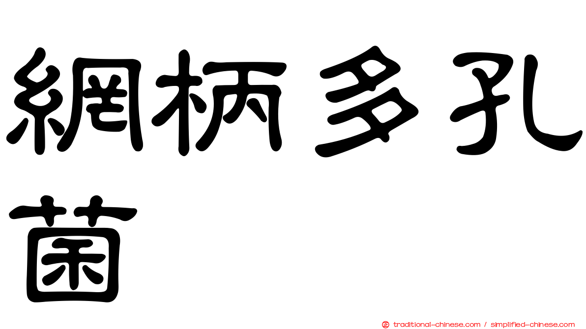 網柄多孔菌