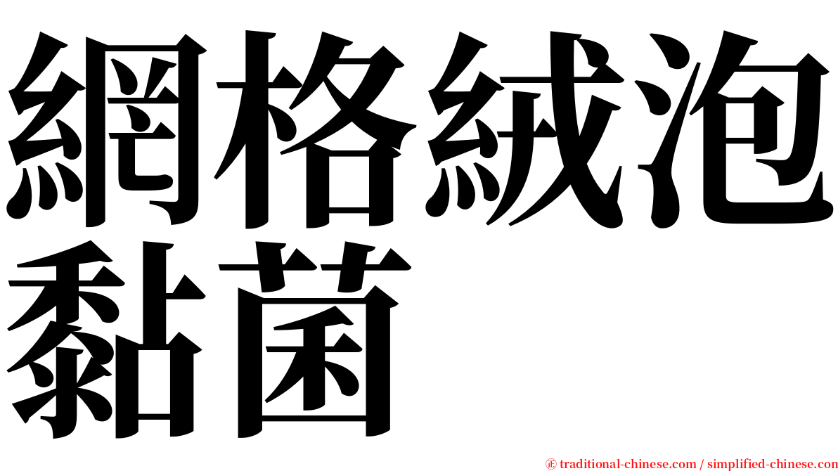 網格絨泡黏菌 serif font