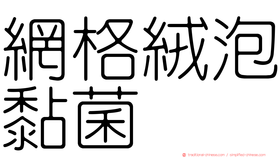 網格絨泡黏菌