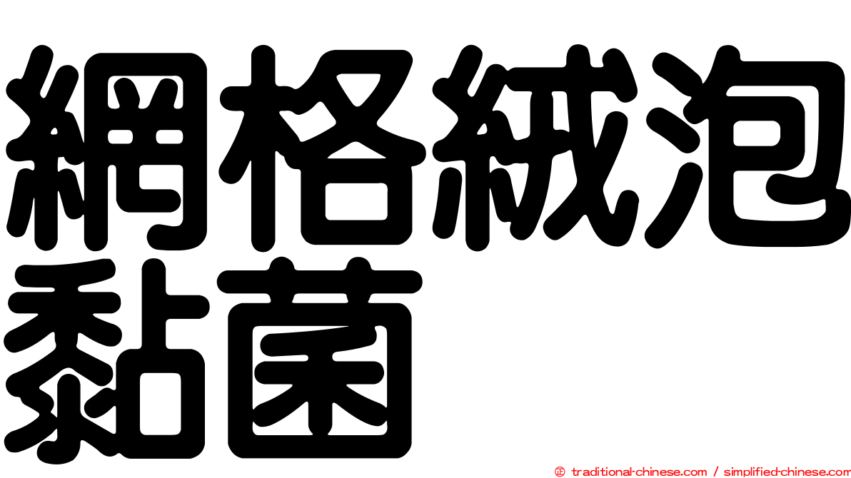 網格絨泡黏菌
