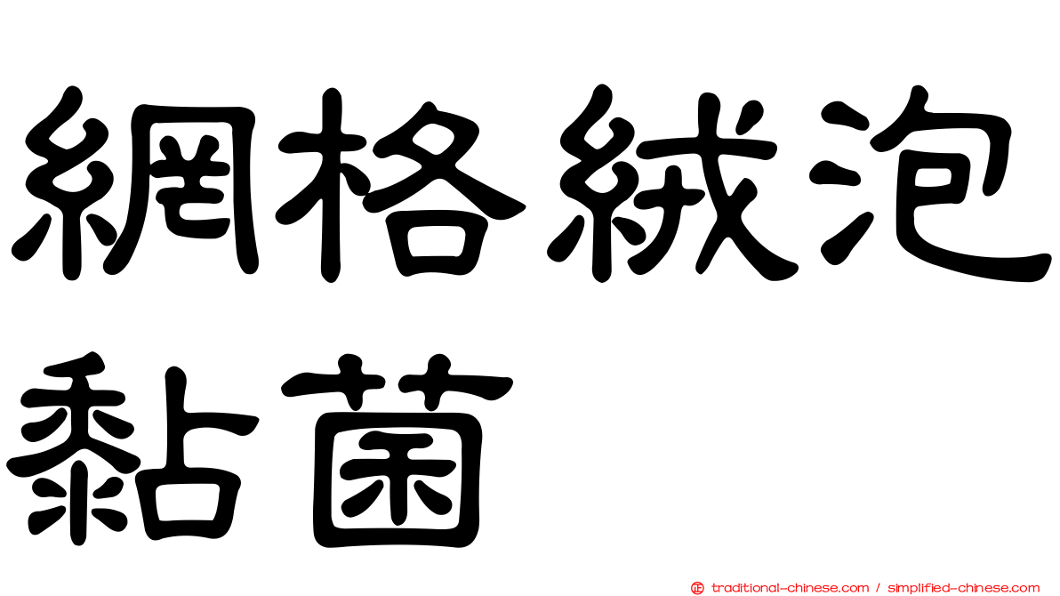 網格絨泡黏菌