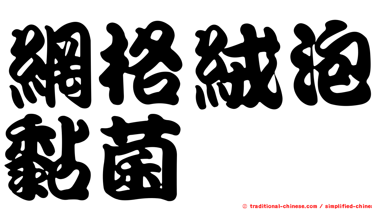 網格絨泡黏菌