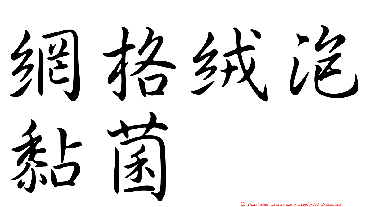 網格絨泡黏菌
