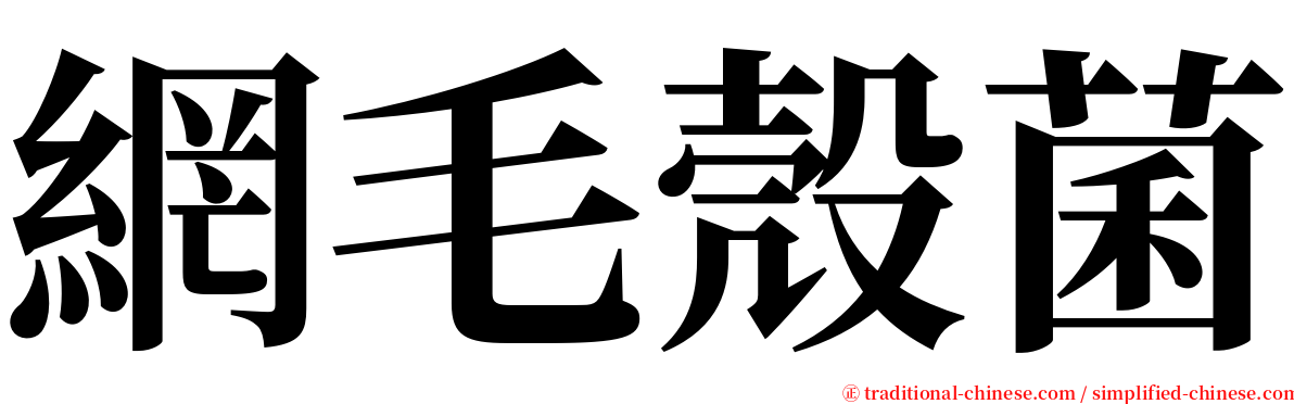 網毛殼菌 serif font