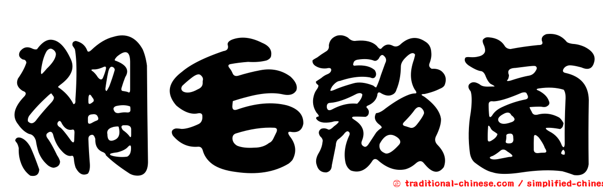 網毛殼菌