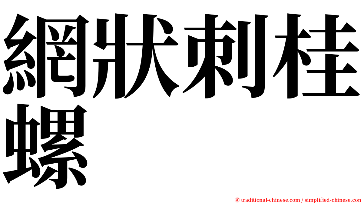 網狀刺桂螺 serif font