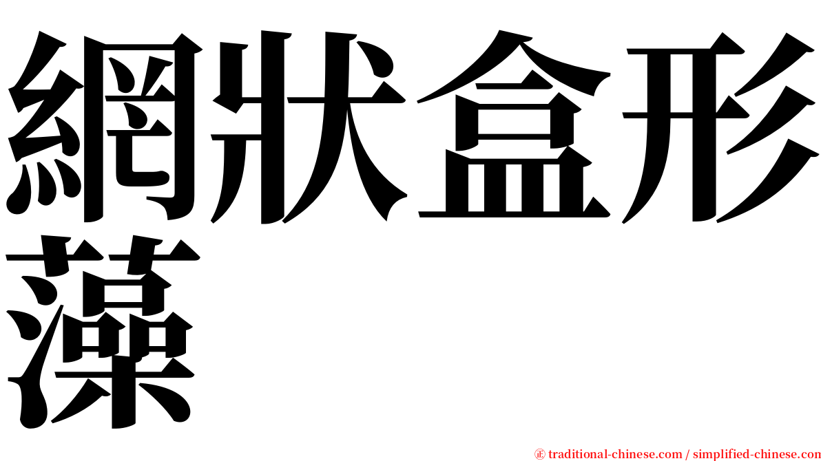 網狀盒形藻 serif font