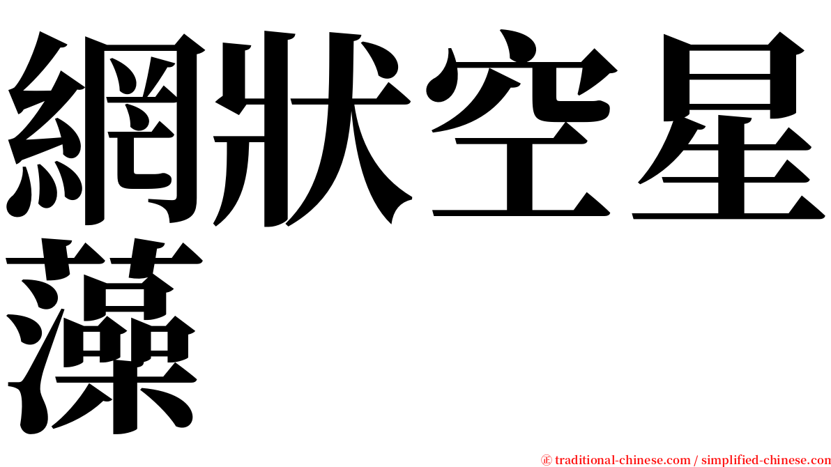 網狀空星藻 serif font