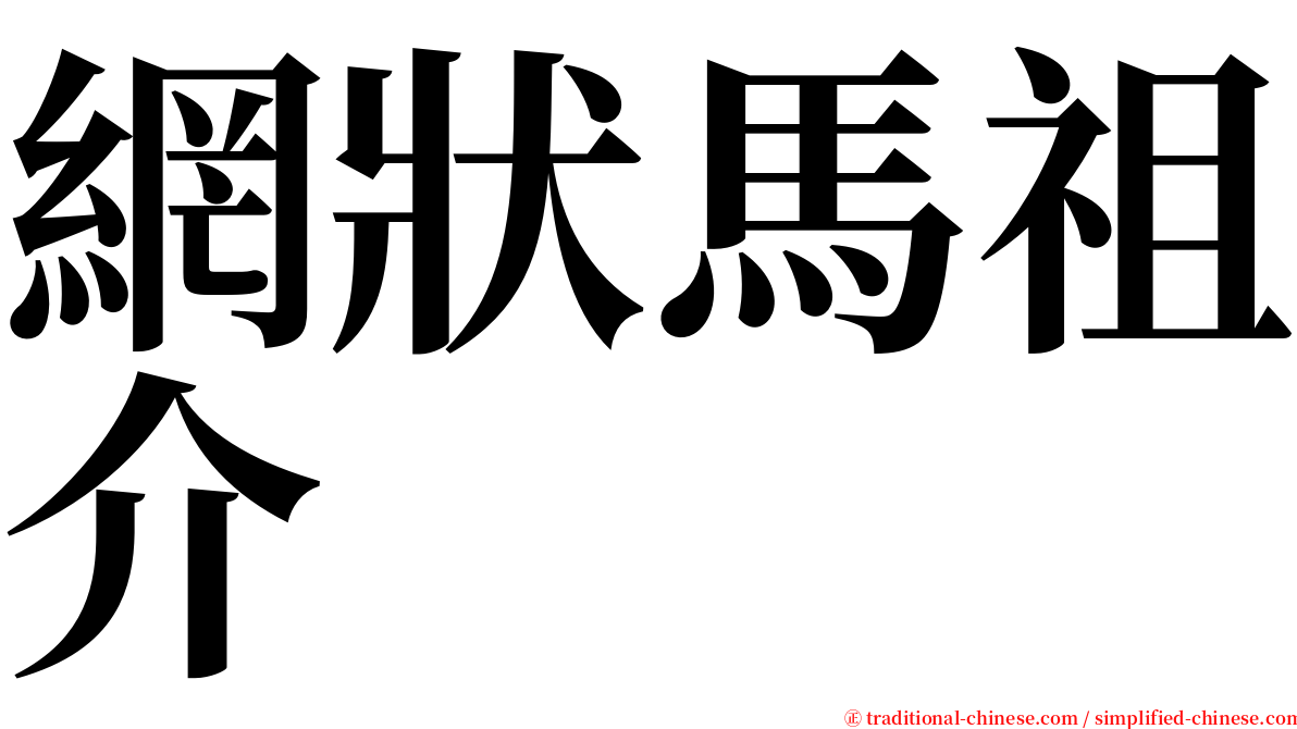 網狀馬祖介 serif font