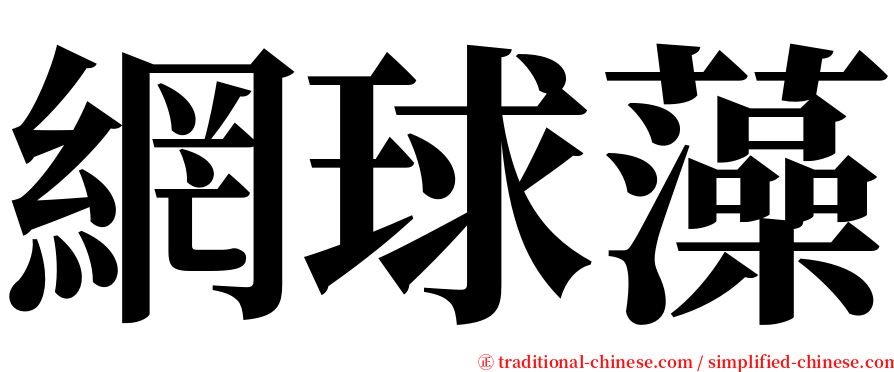 網球藻 serif font