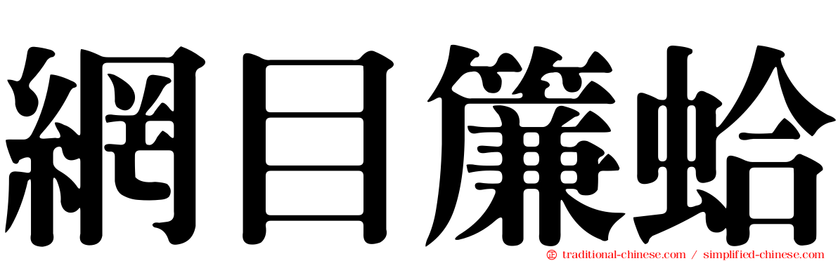 網目簾蛤