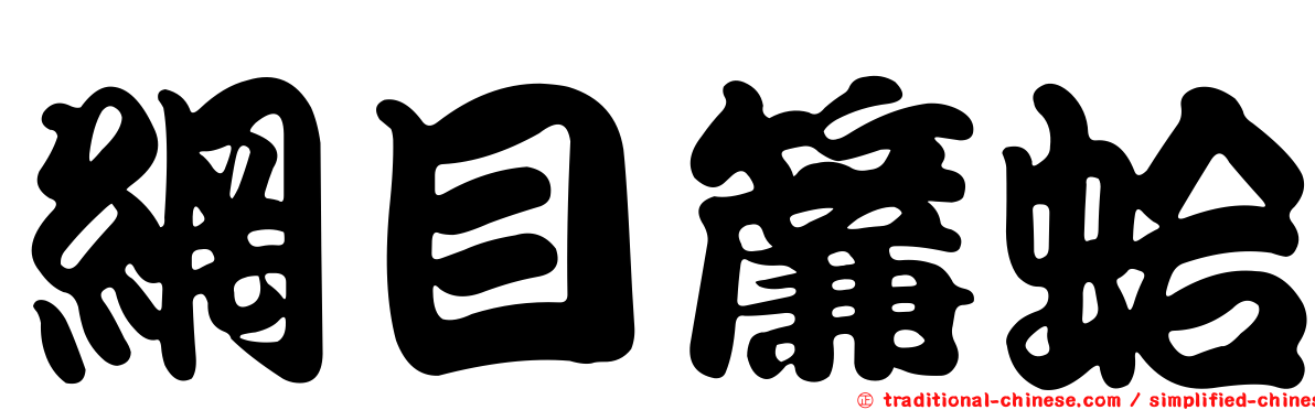 網目簾蛤