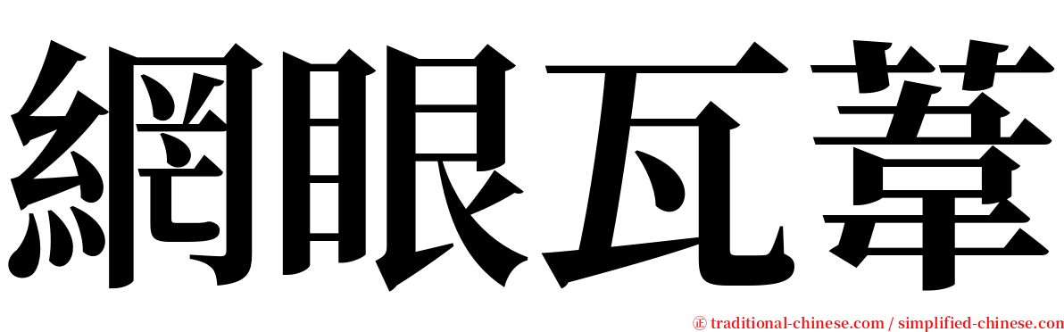 網眼瓦葦 serif font