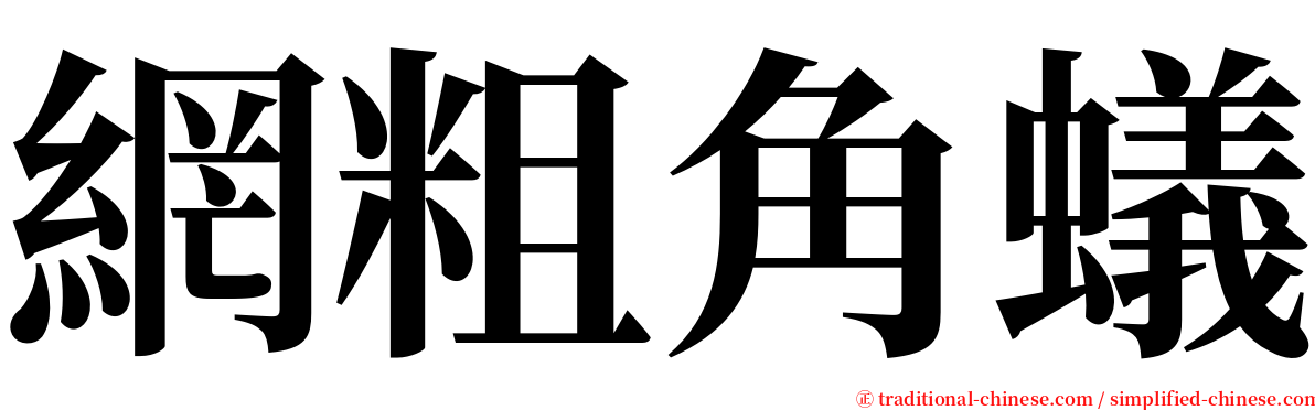 網粗角蟻 serif font