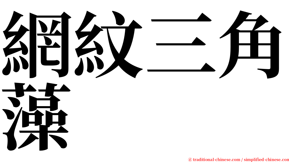 網紋三角藻 serif font