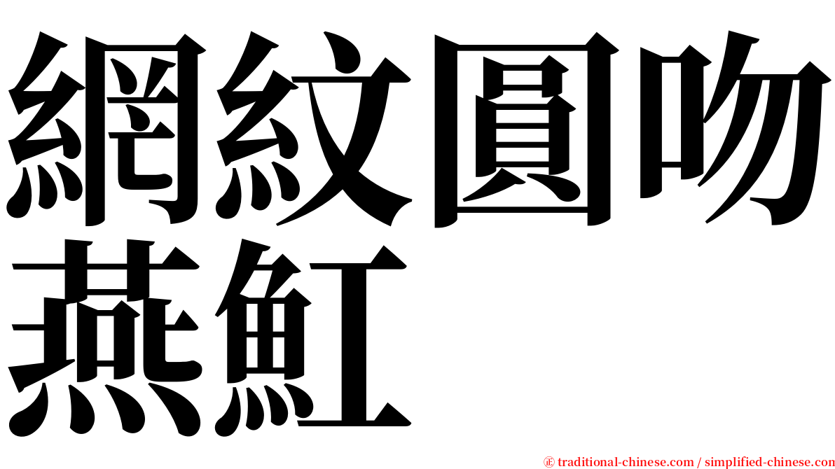 網紋圓吻燕魟 serif font